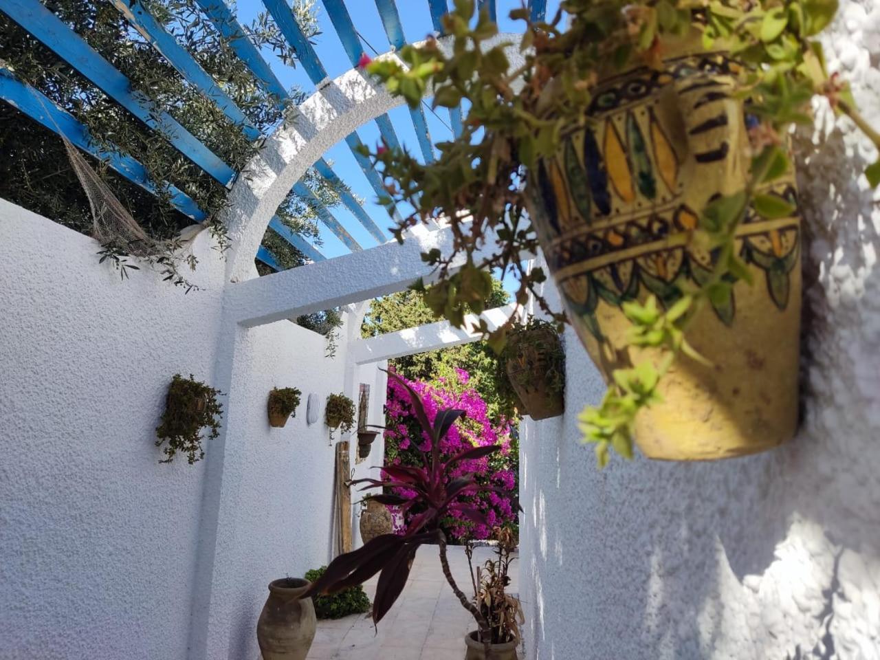 Dar Salama Bizerte Luaran gambar